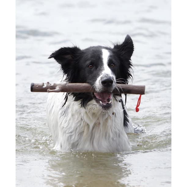 Doog - Elwood Stick (Stick05)