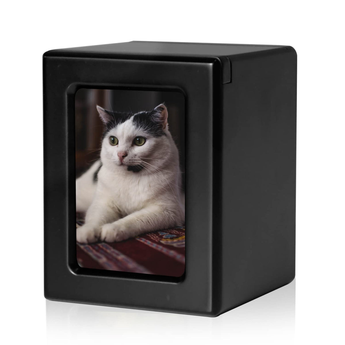 Pcs Pet Urns For Cats, Cat Photo Urn, Cat Urn For Ashes, Urns For Cat Ashes, Pet Cremation Box Black-Medium