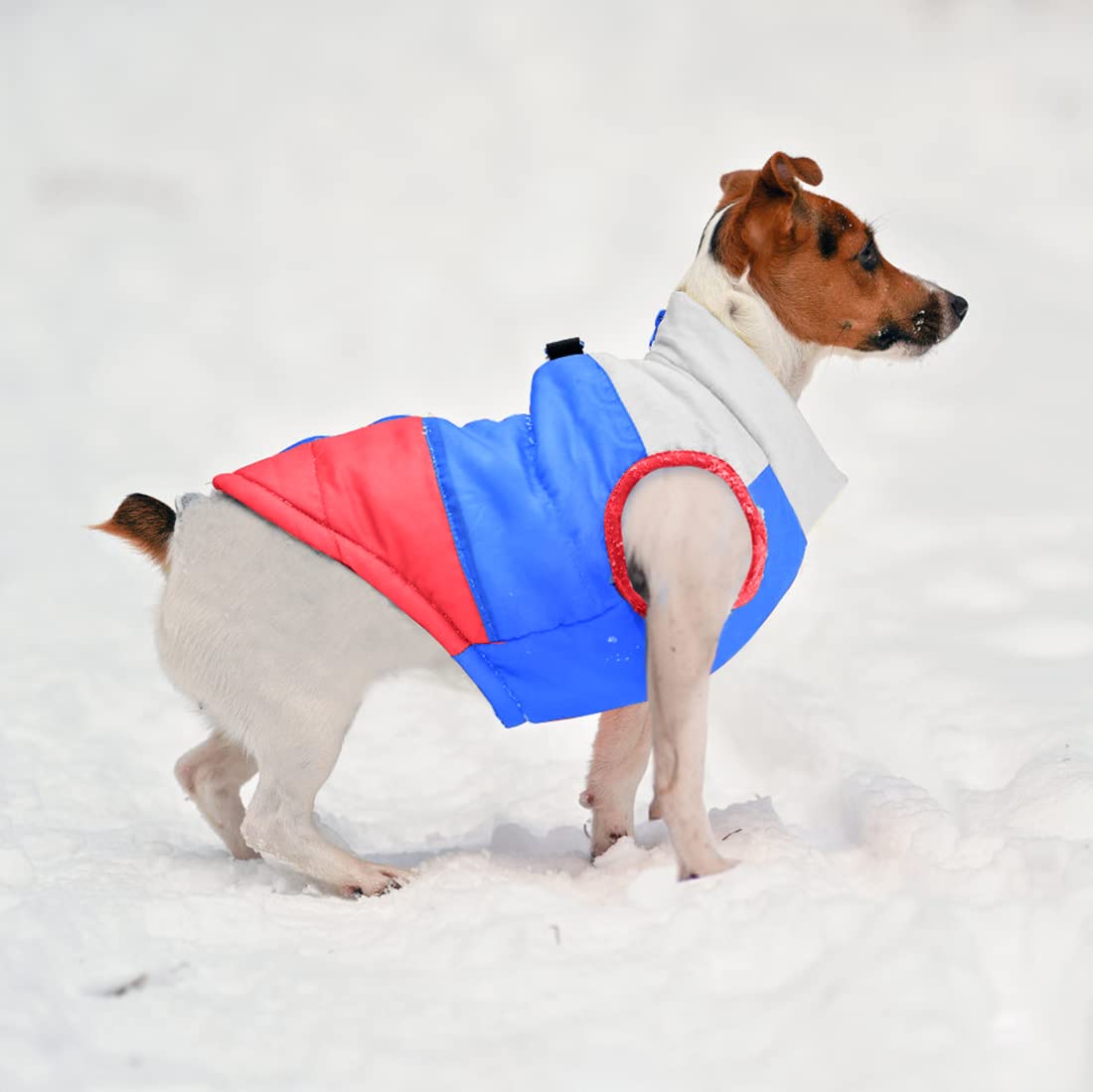 Idepet Pet Dog Cat Coat With Leash Anchor Color Patchwork Padded Puppy Vest Jacket Teddy Chihuahua Costumes Pug Cloth Xs S M L (Small, Red)