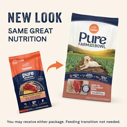 CANIDAE Pure Limited Ingredient Premium Adult Dry Dog Food, Real Beef & Barley Recipe, 22 lbs, with Wholesome Grains