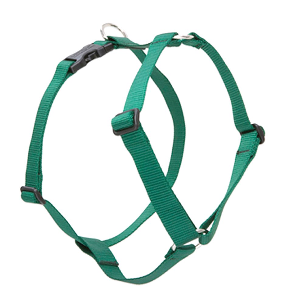 Lupinepet Basics 3/4' Green 14-24' Adjustable Roman Dog Harness For Medium Dogs