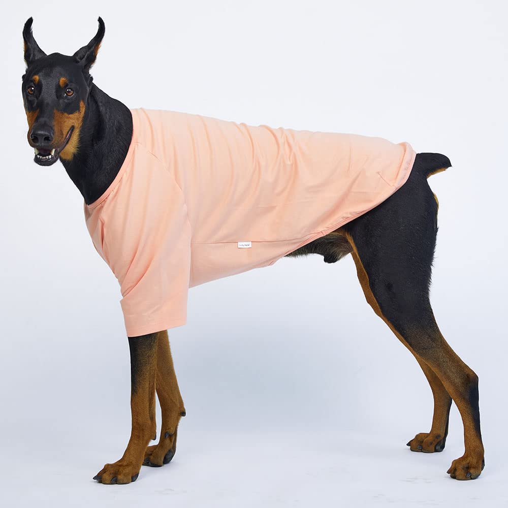 Lucky Petter Dog Shirt For Small Dogs Plain T-Shirts Soft Breathable Dog Cotton Shirt Pet Clothes (X-Large, Peach)