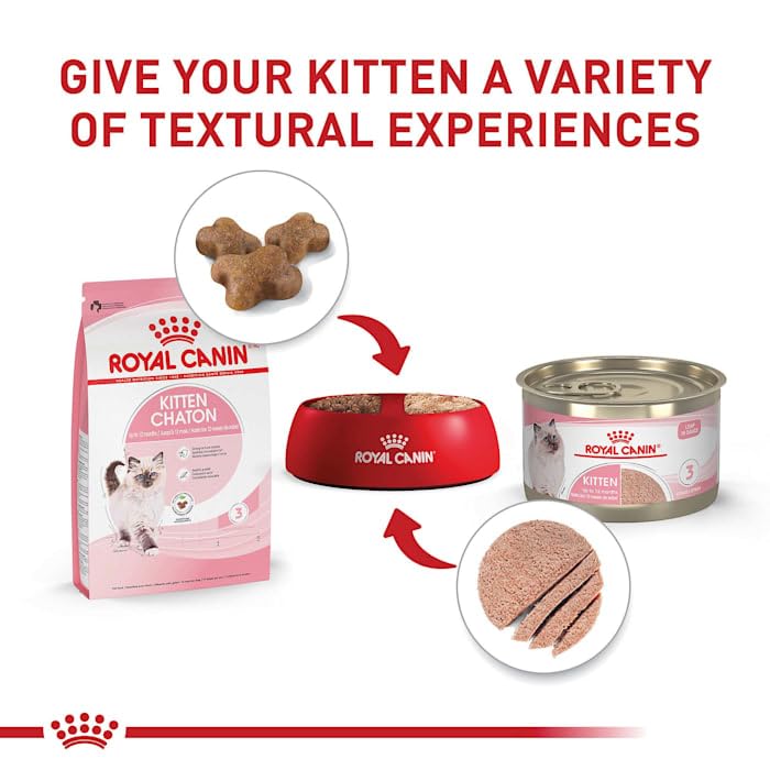 Royal Canin Feline Health Nutrition Dry Kitten Food, Supports Digestive Health, Immune Support and Healthy Energy, 14 lb Bag