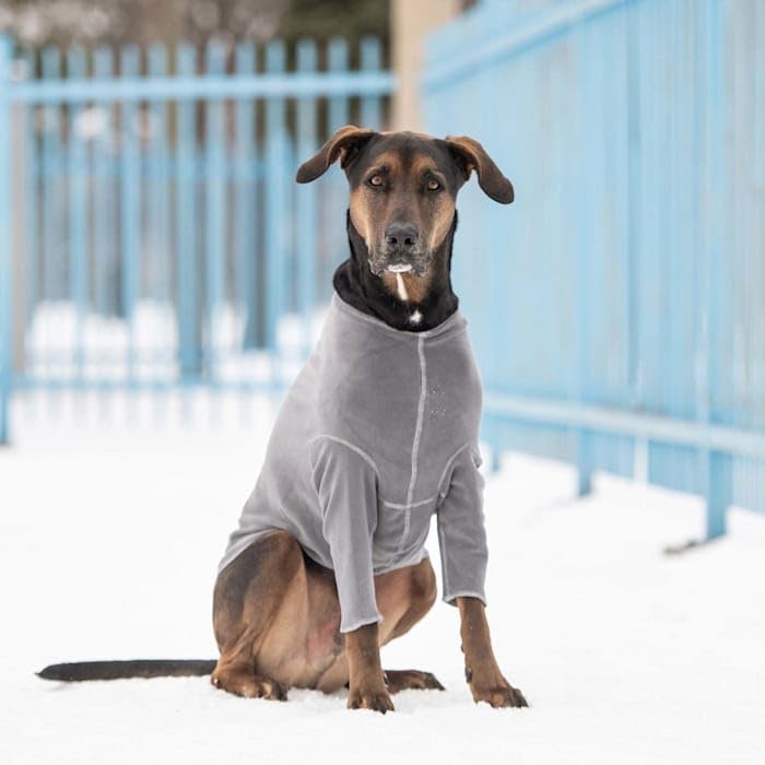 Gf Pet Charcoal Gondola Base Layer For Dogs, X-Small