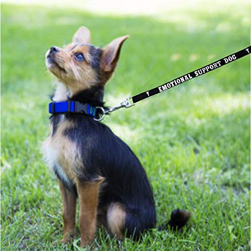 Workingservicedog.Com Emotional Support Dog Leash - Great Identification With Or Without An Emotional Support Animal Vest - Includes Five Esa Information Cards