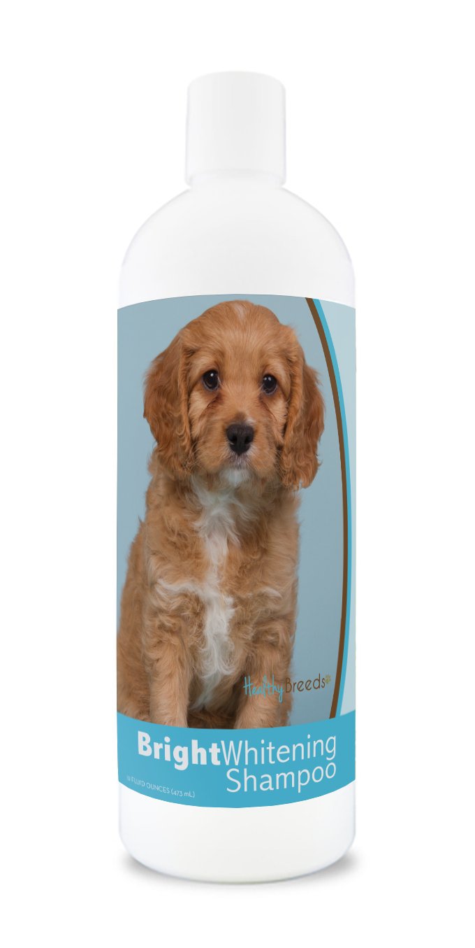 Healthy Breeds Cavapoo Bright Whitening Shampoo 12 Oz