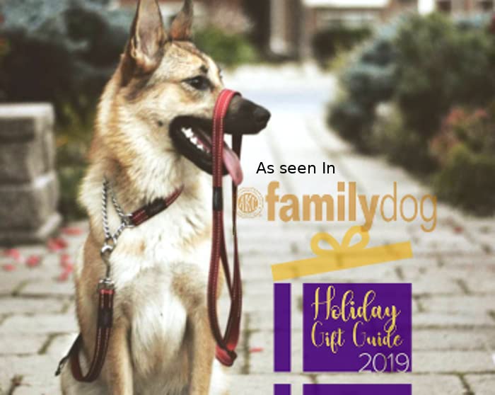 Reflective Nylon Choke Collar; Slip Show Obedience Training Gentle Choker For Extra Large Dogs, Red