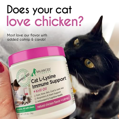 Balanced Breed L-Lysine Cats Immune Support Soft Chews Made in USA Vet-Pharmacist Approved Seasonal Allergy Relief Cat Vitamins