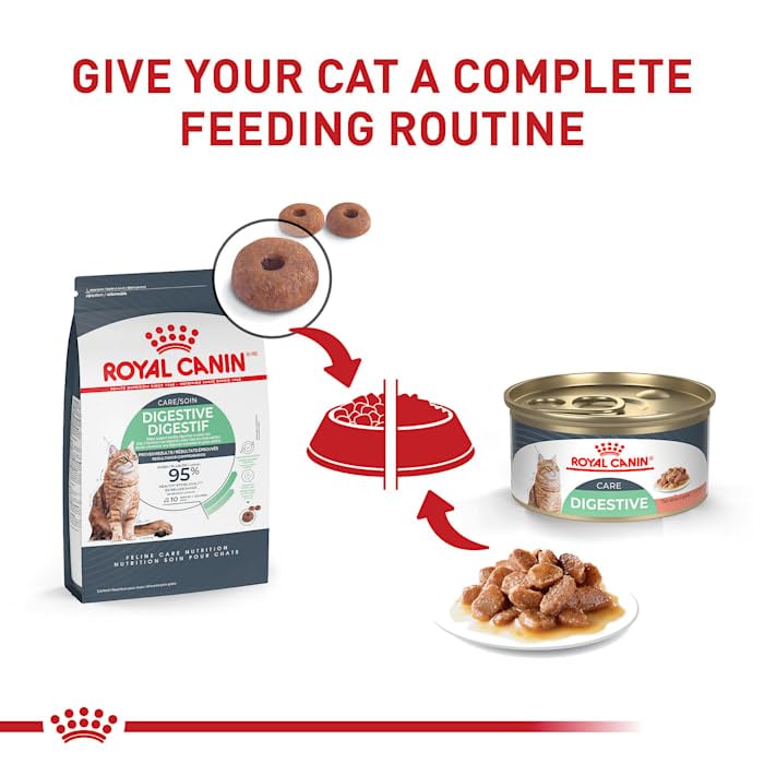 Royal Canin Digestive Care Dry Cat Food, 6 lb bag