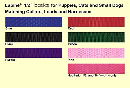 LupinePet Basics 1/2'' Green 10-16'' Adjustable Collar for Small Dogs