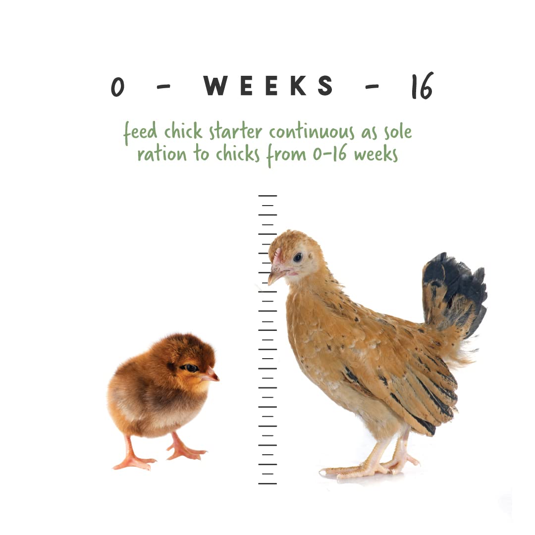 Manna Pro Medicated Chick Starter Grower - Crumbled Chick Feed - Feed for Young Chickens - 6-Pack of 5lbs