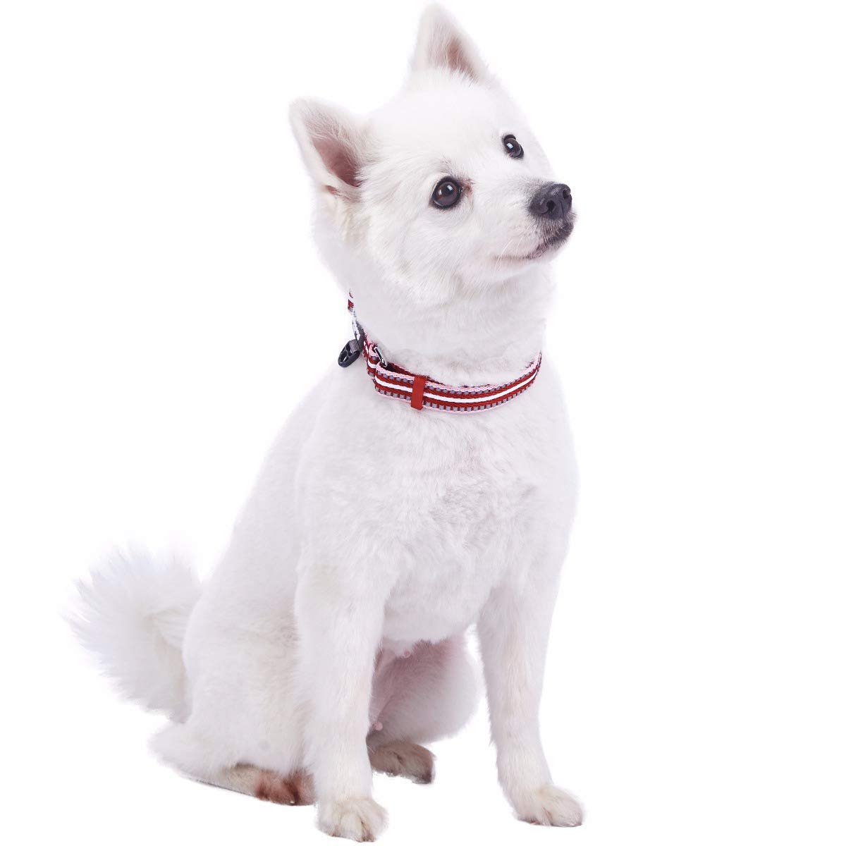 Blueberry Pet 10+ Colors 3M Reflective Multi-Colored Stripe Adjustable Dog Collar, Marsala Red And Pink, Large, Neck 18'-26'