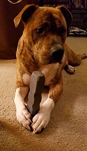 Indestructibone XL Plus - Virtually Indestructible Dog chew Toy - for Dogs 51-100 lbs.