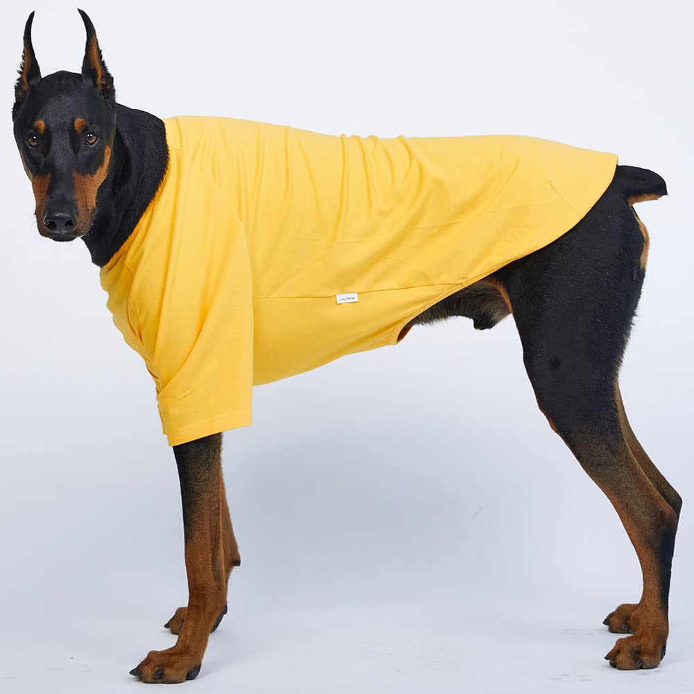 Lucky Petter Dog Shirt For Small Dogs Plain T-Shirts Soft Breathable Dog Cotton Shirt Pet Clothes (5X-Large, Yellow)