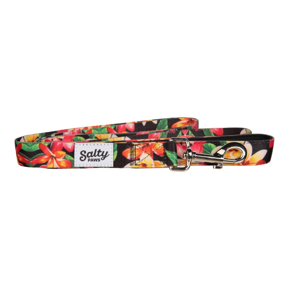 Salty Paws Floral Print Dog Leash Heavy Duty Padded Handle For Small, Medium, Large Dogs Matching (Large 6' For Dogs 50-90 Lbs.,