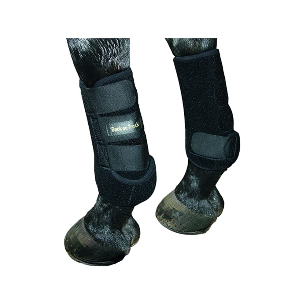 Back On Track Therapeutic Horse Exercise Boots For Hind Legs, Black, Large