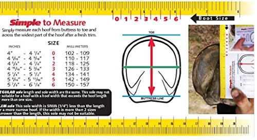 Cavallo Horse & Rider Trek Regular Sole Hoof Boot, Size 2