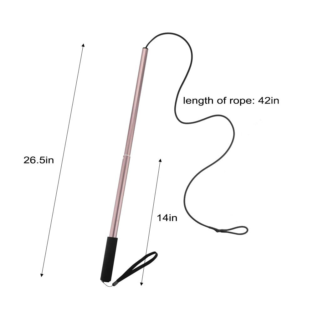 Amyese Flirt Pole For Dogs - Extendable Flirt Pole With 2Pcs Fleece Lure Tugs For Dog Outdoor Entertainment, Train And Exercise,