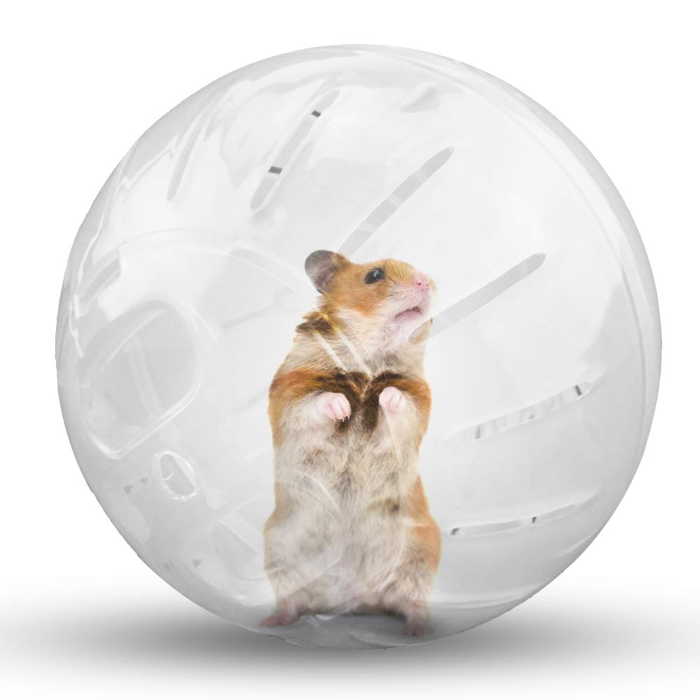Hamster Exercise Ball Silent Hamster Wheel Small Animals Transparent Ball For Dwar Rat Relieves Boredom And Increases Activity (4.8 Inch, Clear)