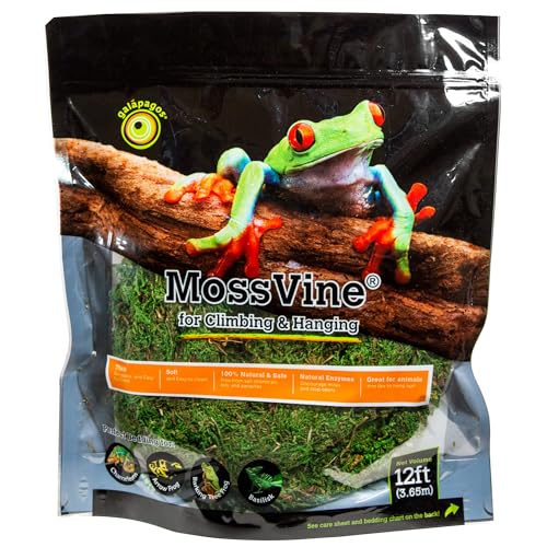 Supermoss Galápagos (05266) Mossvine, Real Moss Vine, 12Ft, Green
