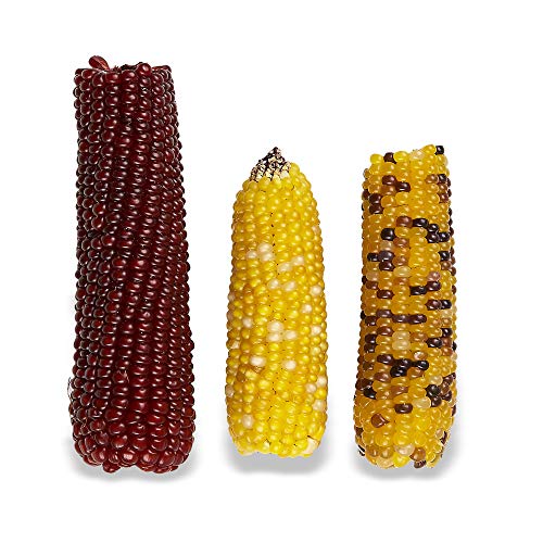 VC MINI POP INDIAN CORN TREAT