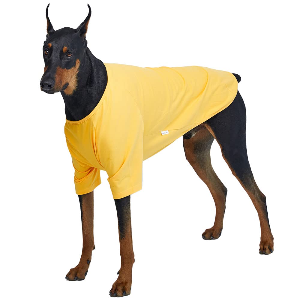 Lucky Petter Dog Shirt For Small Dogs Plain T-Shirts Soft Breathable Dog Cotton Shirt Pet Clothes (2X-Large, Yellow)