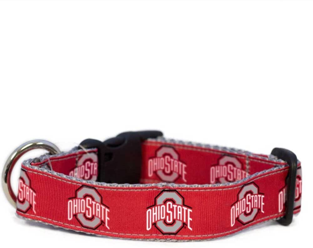 College Dog Collar (Medium, Ohio State)