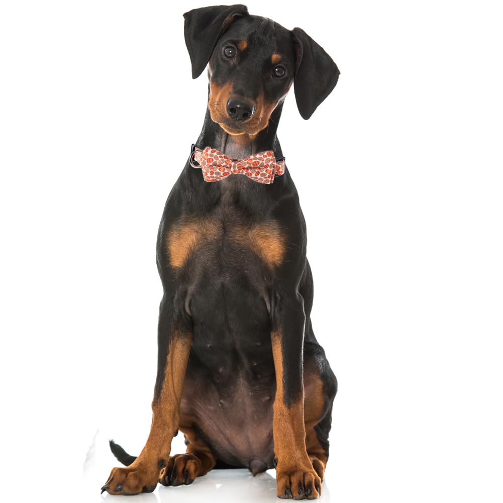 Easter Dog Collar With Bowtie Egg Holiday Adjustable Pet Collars With Metal Buckle For Dogs (Eggs,Small)