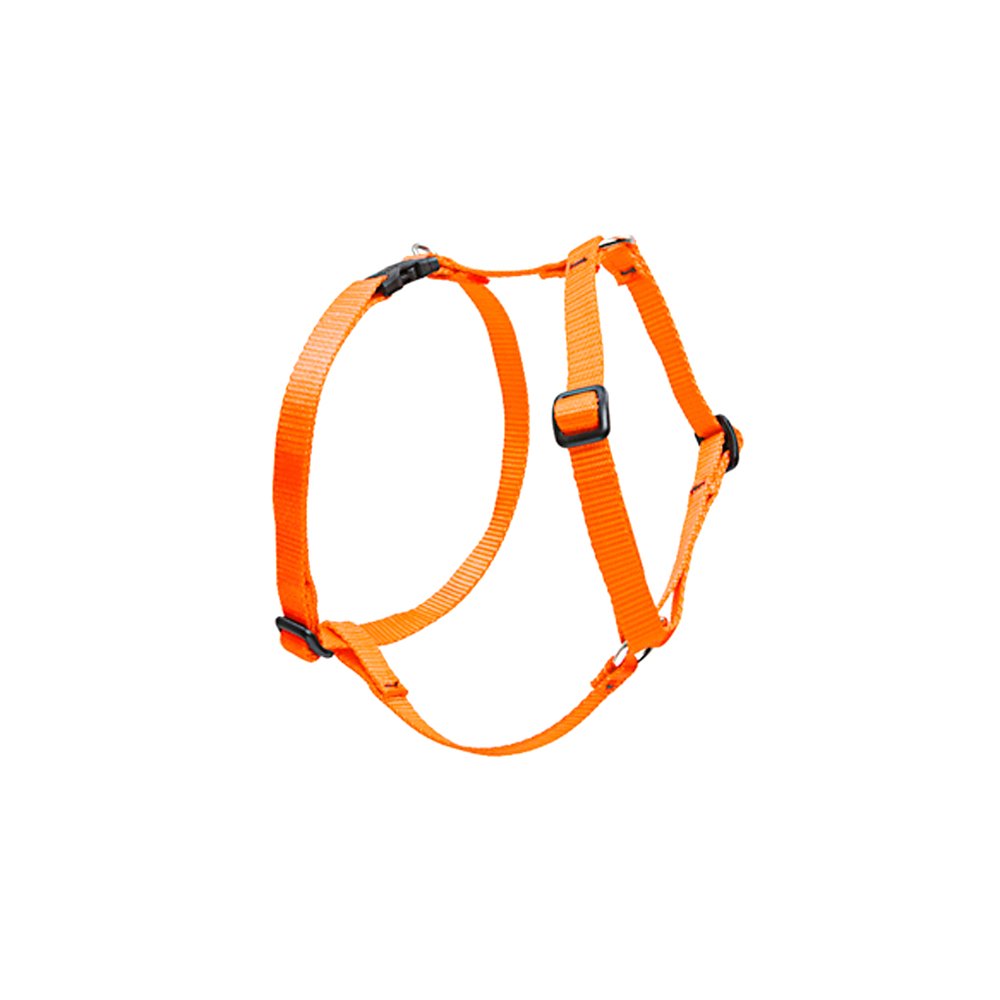 Lupinepet Basics 3/4' Blaze Orange 12-20' Adjustable Roman Dog Harness For Small Dogs