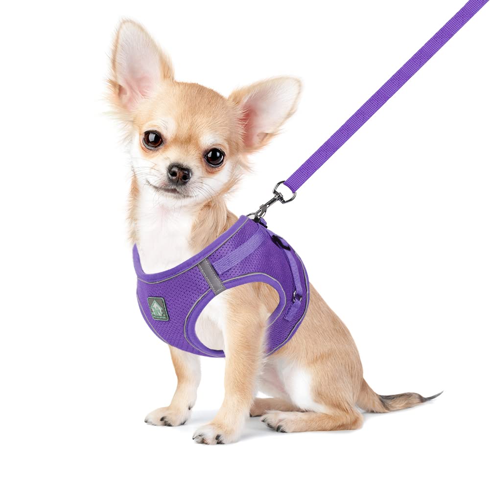 Feimax Dog Harness And Leash Set, No-Pull Breathable Soft Mesh Puppy Vest Harness Reflective Adjustable Pet Harnesses For Small 
