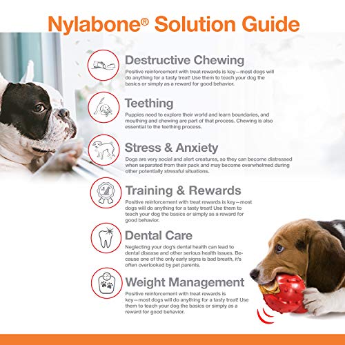 Nylabone Durachew Chicken Blister Card Wolf