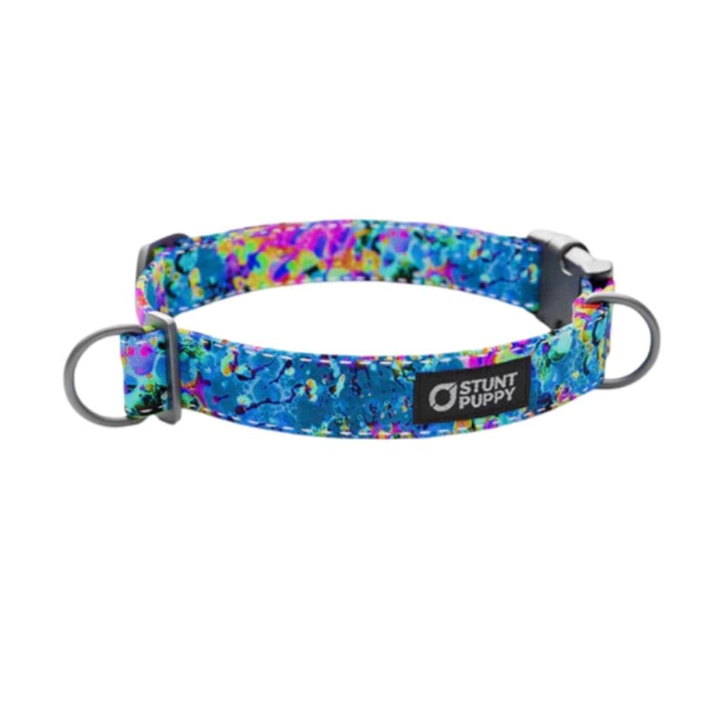 Jammin Sea Visions Everyday Collar Extra-Large