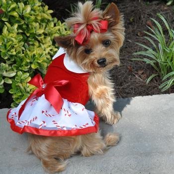 Doggie Design Holiday Dog Harness Dress - Candy Canes (Large)