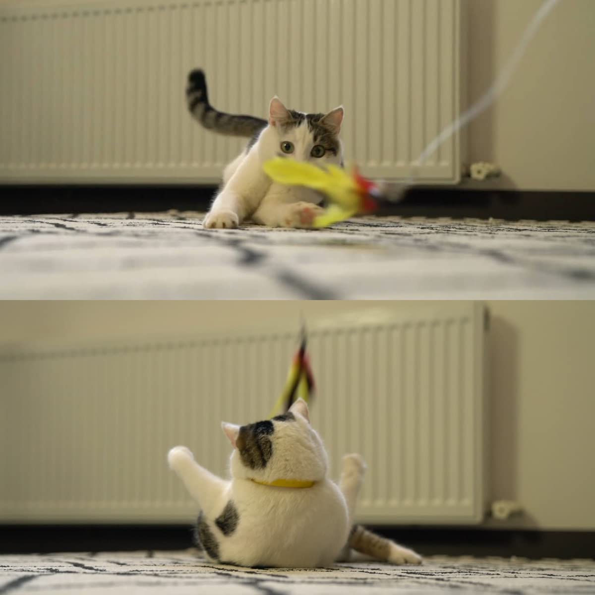 Meohui Cat Wand Toys Refills, Cat Feather Toys Accessories, 10Pcs Squiggly Worms Replacements And 1Pc Replacement String For Cat Fishing Pole, Assorted Teaser Refills With Bell For Indoor Cats Kitten