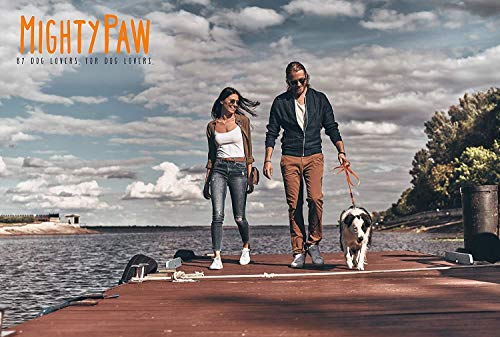 Mighty Paw Waterproof Dog Leash - Smell-Proof Pet Lead Against Dog Foot Smell - Ideal Nylon Reflective Dog Leash For Swimming - Camping - Hiking - Reflective Safety Stripe - 6 Foot Leash - Orange