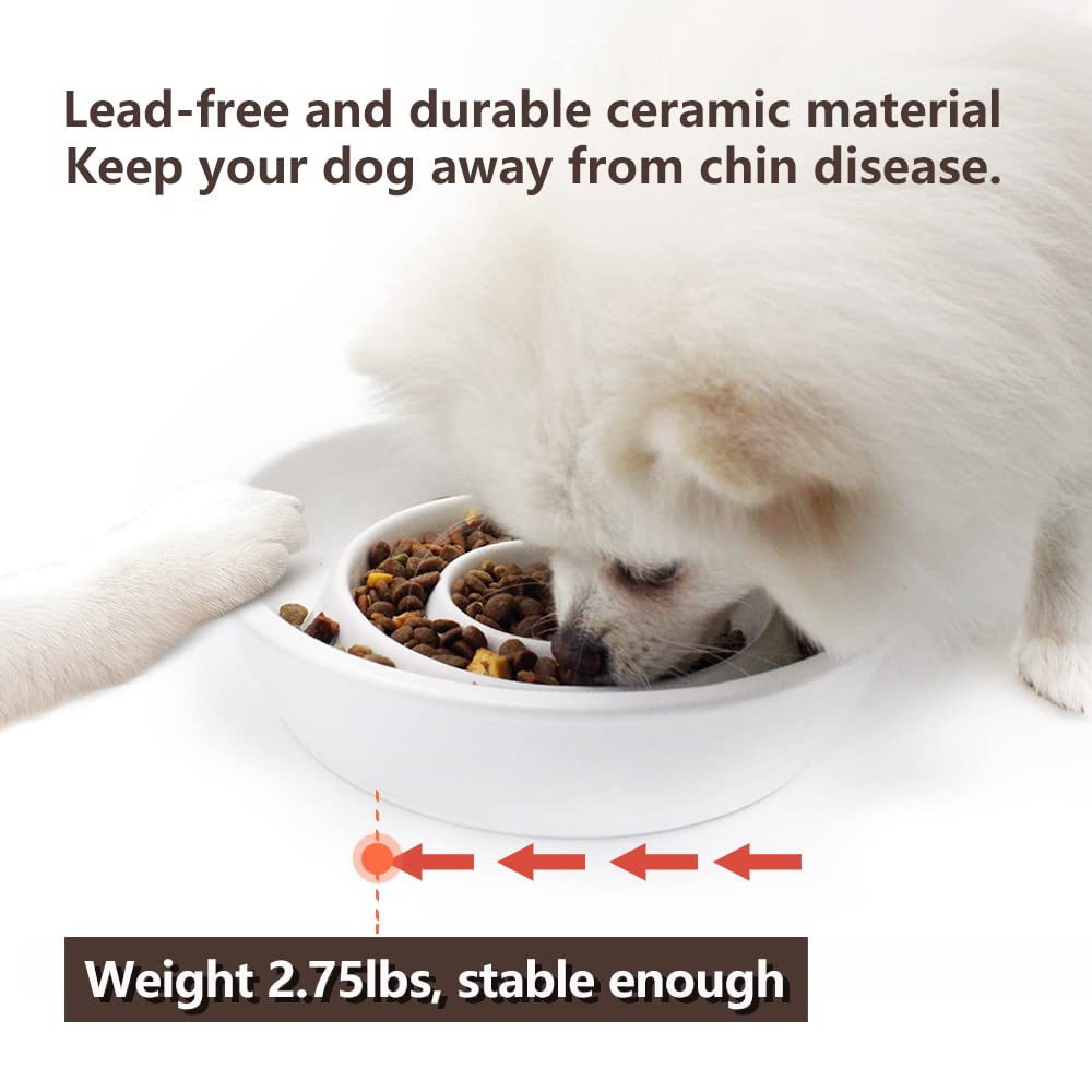 GH Ceramic Slow Feeder Dog Bowl, 3 Cups, 2 Dog Flying Discs Included - White