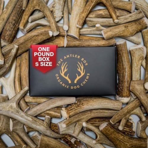 The Antler Box Premium Deer Antler Dog Chews (1 Lb Bulk Pack) (Small(7 To 8 Antlers/Lb