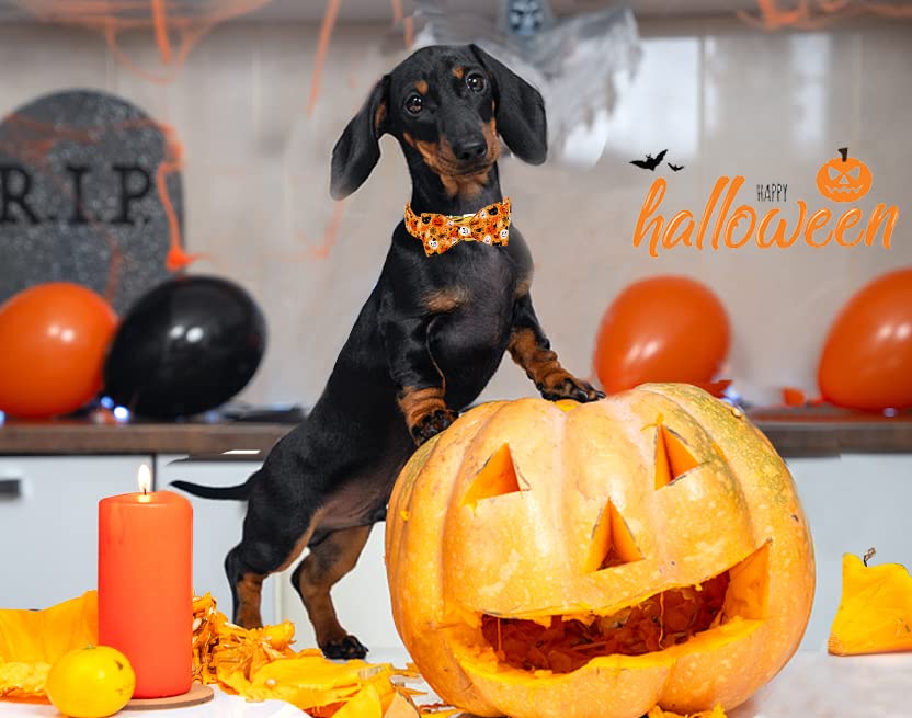Aring Pet Dog Collar With Bow-Halloween Dog Collar Bowtie, Adorable Boy And Girl Ghost Pumpkin Dogs Bowtie Collar Gifts With Metal Buckle