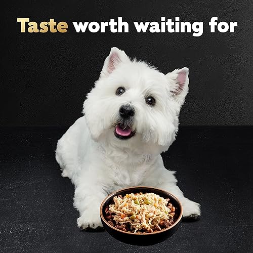 Cesar Wholesome Bowls Adult Wet Dog Food, Chicken, Carrots, Barley & Green Beans Recipe, 3 oz. (10 Count, Pack of 1)