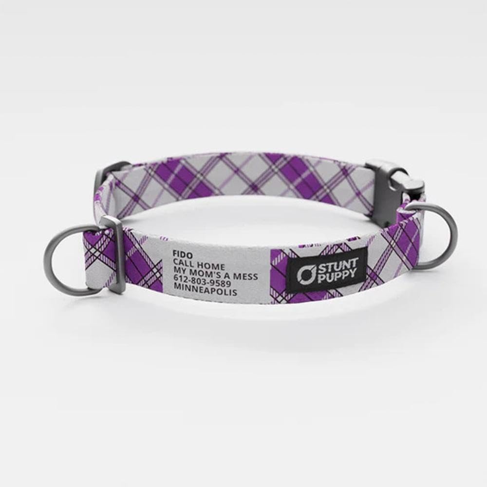 Lumberpup Smoke Everyday Collar Large