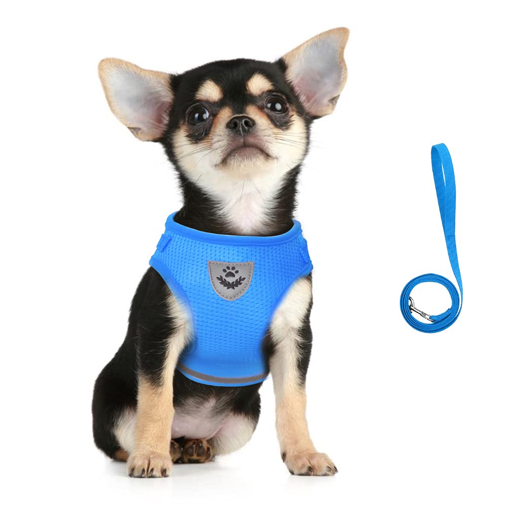 Feimax Dog Harness And Leash Set For Walking, Soft Mesh Adjustable Easy Control Lightweight Cat Vest Harnesses With Reflective Strips, Escape Proof Small Dogs Cats Vests (Azure, Small)