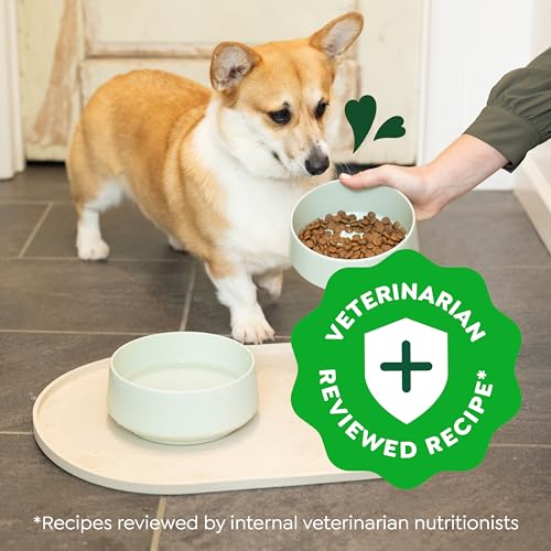 Greenies Smart Essentials Small Breed Adult High Protein Dry Dog Food Real Chicken & Rice Recipe, 27 lb. Bag