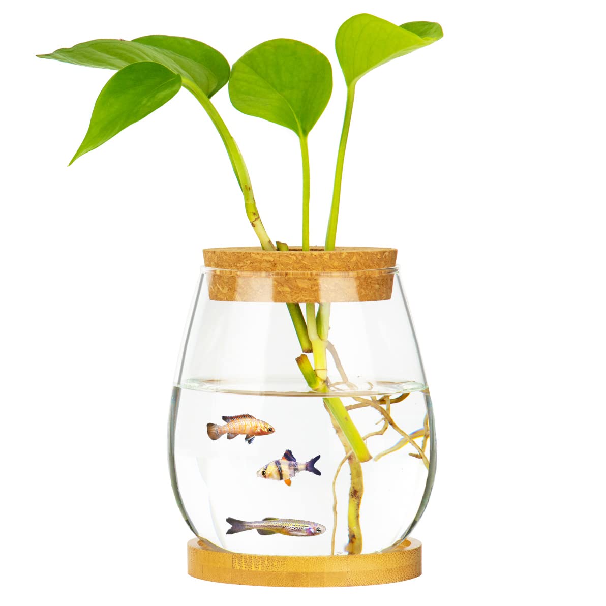 Desktop Fish Bowl Clear Glass Small Fish Tank with Wood Lid and Bamboo Stand for Betta Fish Plants Terrarium Home Office Decorat