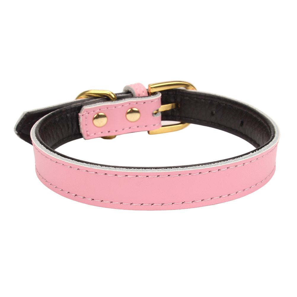 Aolove Basic Classic Padded Leather Pet Collars For Cats Puppy Small Medium Dogs (Large, Pink)