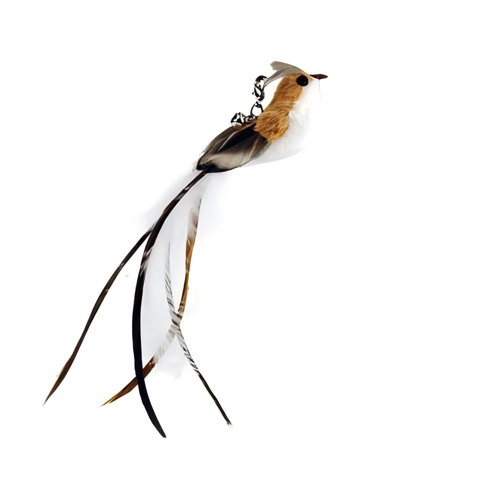 Cutie Paw Pal Interactive Suction Cup Cat Toy For Indoor Cat, Long Tail Feather Bird, Spring Wire Suctions To Ground, Hands Free