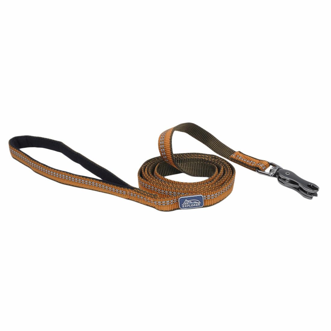 Coastal Pet K9 Explorer Reflective Dog Leash with Scissor Snap - Durable Nylon Leash - Leashes for Dogs & Puppies - Pet Supplies