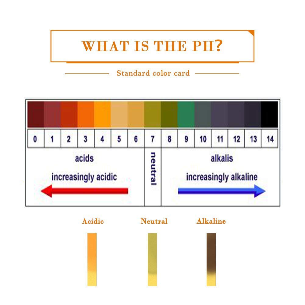 Capetsma Aquascape Long Stainless Steel Plant Tools Set - Aquarium Tweezers, Scissors, Spatula, Algae Scrapers - Fish Tank Cleaning Kit