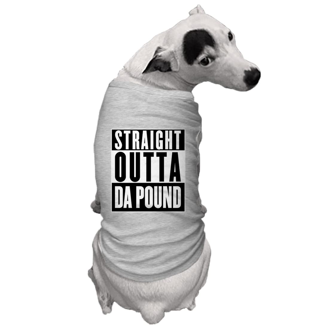 Straight Outta Da Pound - Rescue Dog Shirt (Light Gray, Small)