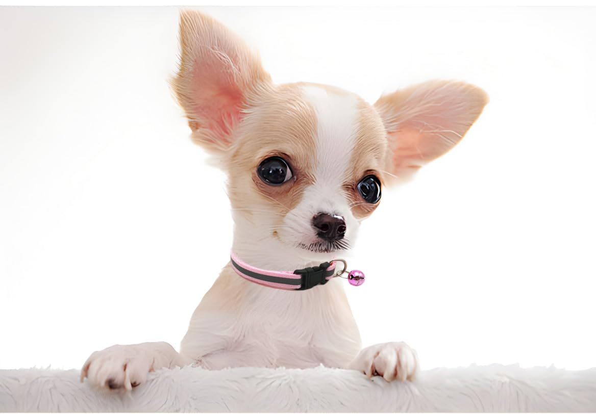 Blue Xs Cat Collar With Bell, Reflective Dog Collars Girl Soft Adjustable Buckle For Xxs Xsmall Extra Small Puppies Female Male