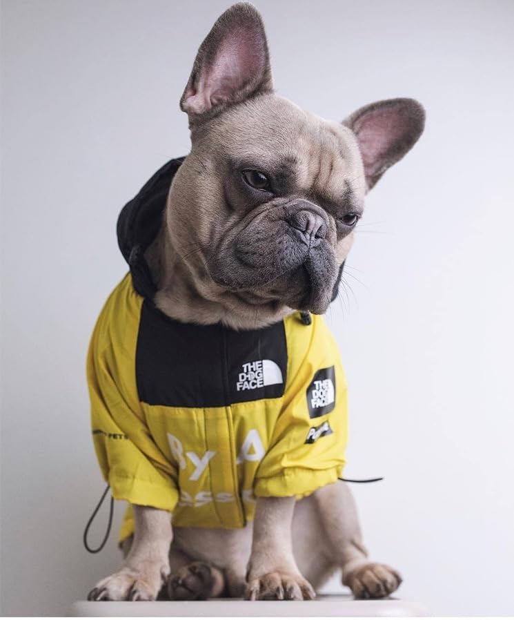 Dog Raincoat Rain Jacket,Slicker Poncho Adjustable Waterproof Dog Raincoat With Leash Hole/Reflective Words Hooded Snowproof Win
